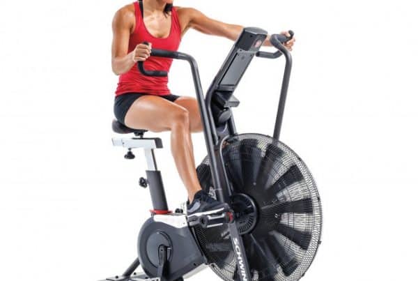 Schwinn Airdyne Pro