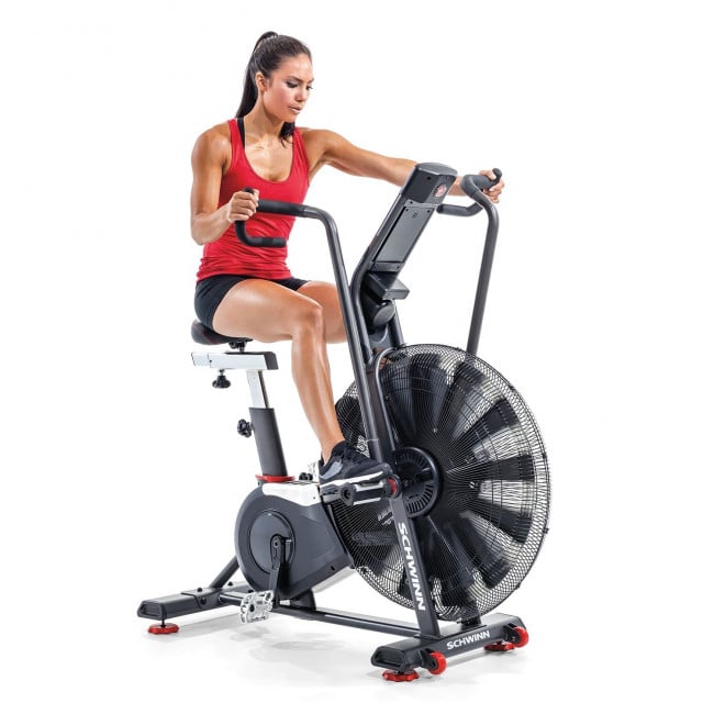 Schwinn Airdyne Pro